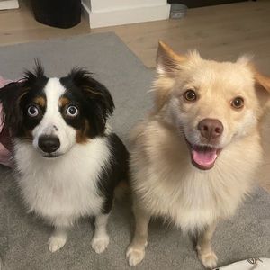 Meet your Posher, Mina